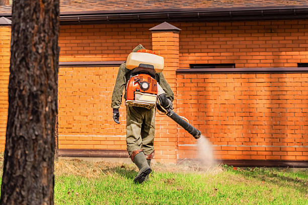 Bed Bug Clearance Verification and Documentation in Palm Beach
